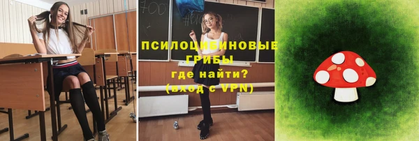 дживик Заволжье